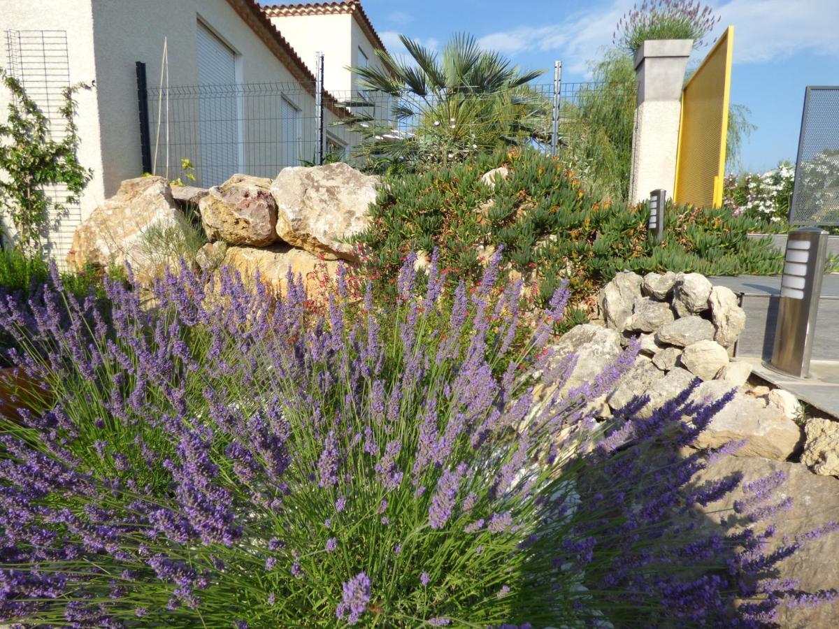 La Villa Du Saule Salles-d'Aude Экстерьер фото